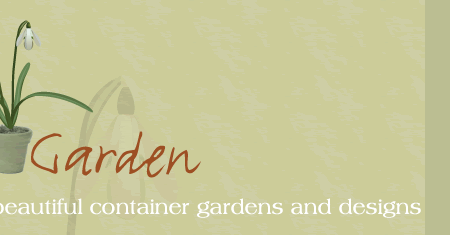 Uncommonly beautiful container gardens and designs