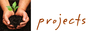 Our Newest Projects